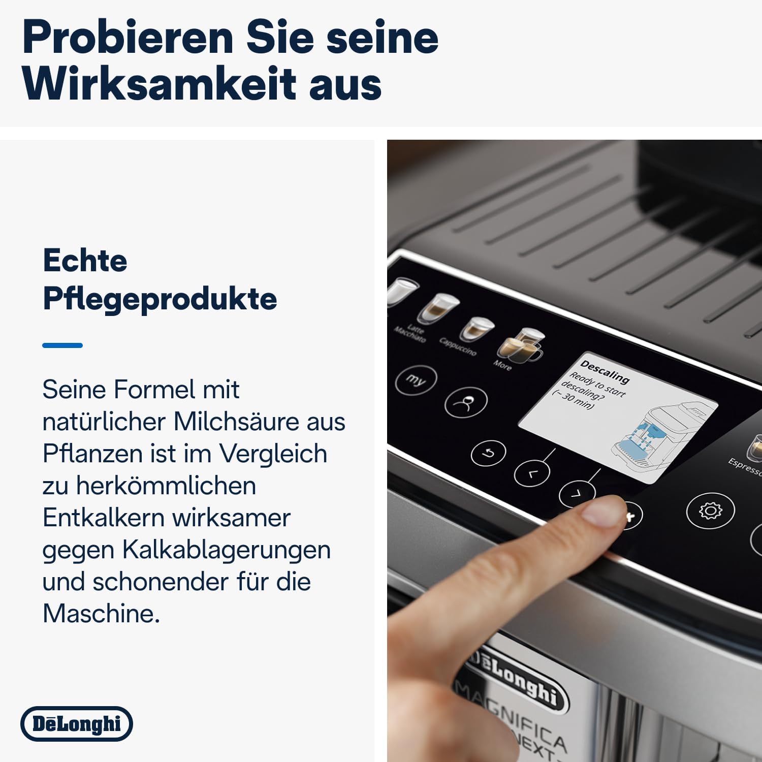 EcoDecalk Entkalkungsprogramm starten